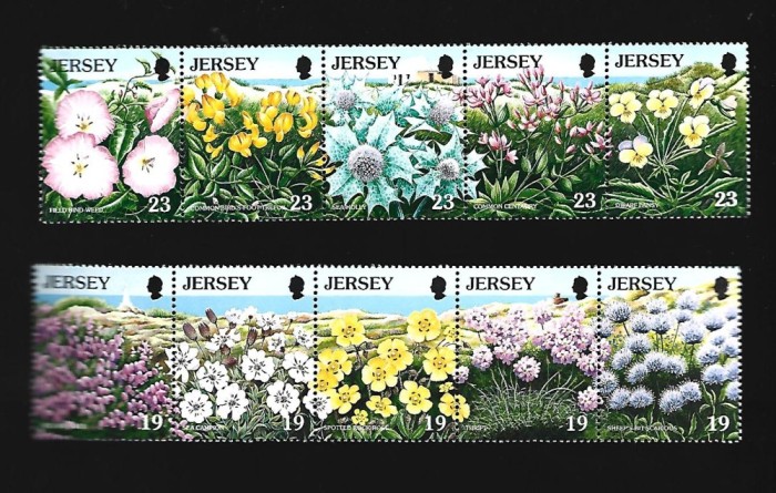 jersey mnh