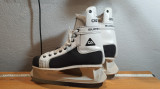 Patine Hokey Nr. 41