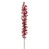 Crenguta fructe padure rosii 7x6x84 cm