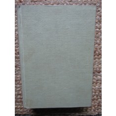 Agonie si extaz &ndash; Irving Stone