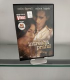 Film Subtitrat - DVD - &Icirc;ntreabă praful (Ask the Dust)