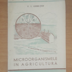 MICROORGANISMELE IN AGRICULTURA - P. I. GHELTER - COLECTIA STIINTA PENTRU TOTI