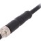 Conector BULGIN M5 3 pini 1A drept IP67 60V cablu 1m PXPPVC05FIM03ACL010PVC