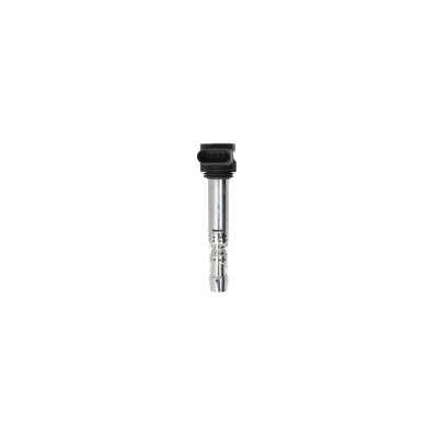 Bobina de inductie VW TOUAREG 7LA 7L6 7L7 BERU ZSE031 foto