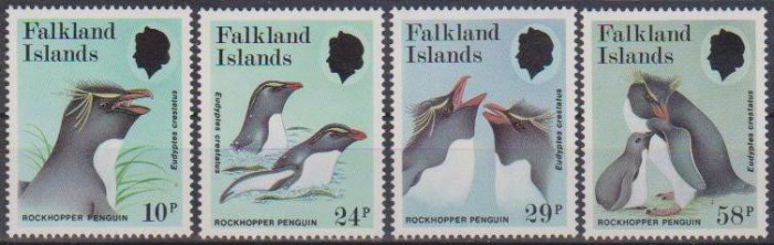 FALKLAND - 1987 - Rockhopper pInguin
