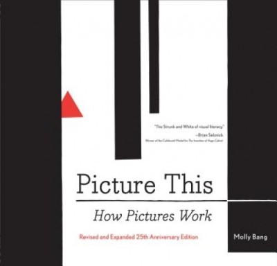 Picture This: How Pictures Work foto