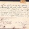 A2710N Certificat de ofițer activ &icirc;n Regimentul Argeș Nr 4 pentru acordarea de rații de alimente, 1921, Pitești