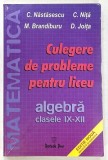 CULEGERE DE PROBLEME PENTRU LICEU , ALGEBRA , CLASELE IX - XII de C . NASTASESCU ... D . JOITA , 2004
