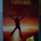 Sebastien Doubinsky - Cartea muta (Editia: 2008)