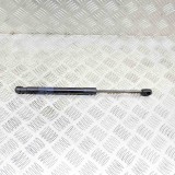 Amortizor capota dreapta față TESLA MODEL 3 2020 OEM: 1091472-00-B 13630768