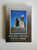 Dumitru Teicu, Banatul Montan in Evul Mediu, Timisoara, Resita 1998, 566 pag.