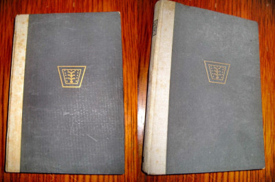 7874-Th. Kappstein-Religiile Lumii 2 volume-editie veche 1920-1922. foto