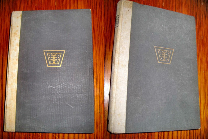 7874-Th. Kappstein-Religiile Lumii 2 volume-editie veche 1920-1922.