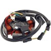 Magnetou Stator Aprindere Aprilia RS4 Derbi Senda GPR 50cc 2T Euro 2 82852R