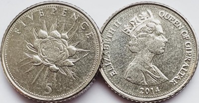 3089 Gibraltar 5 pence 2014 Elizabeth II (Flower) km 1509 foto