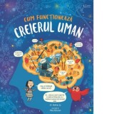 Cum functioneaza creierul uman (Usborne) - Usborne Books