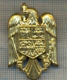 Y 1551 INSIGNA-MILITARA -EMBLEMA COIFURA -PENTRU COLECTIONARI