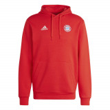 Bayern M&uuml;nchen hanorac de bărbați cu glugă DNA Club red - S, Adidas