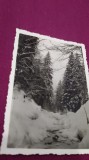 Cumpara ieftin FOTO TIP 9/6 PEISAJ INTERBELICA