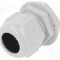Presetupa poliamida, M32, IP68, RITTAL - 2411.641