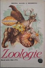 Zoologie. Manual pentru clasa a VI-a - C. Bogoescu foto