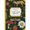 Erdők-mezők n&eacute;pmes&eacute;i - Bajz&aacute;th M&aacute;ria