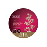 Cumpara ieftin Decoratiune - Micro LED Tree Steady - Indoor | Kaemingk