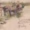 AMS % - BUCURESTI CIRC. CU TIMBRU FISCAL 1900, CIRC. spre DOROHOI, litografie