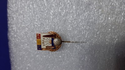 insigna FRFA foto