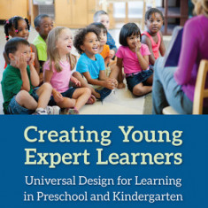 Creating Young Expert Learners: Universal Design for Learning in the Preschool Classroom