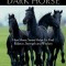 Dancing with Your Dark Horse: How Horse Sense Helps Us Find Balance, Strength, and Wisdom
