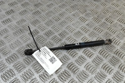 Amortizor capota st&amp;acirc;nga față LAND ROVER FREELANDER 2 L359 2003 OEM: 6H52-16C826-BD 31205641 foto