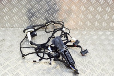 Cablaj ușă st&amp;acirc;nga spate JAGUAR F-PACE X761 2017 OEM: HK83-14633-CC 11652211 foto