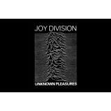 Joy Division Unkown Pleasures LP remaster 2007 (vinyl)