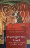 DESPRE SFINTELE TAINE SI IERURGII. O CARTE DOGMATICO-LITURFICA PE INTELESUL TUTUROR-CALINIC BOTOSANEANUL-248154