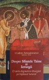 DESPRE SFINTELE TAINE SI IERURGII. O CARTE DOGMATICO-LITURFICA PE INTELESUL TUTUROR-CALINIC BOTOSANEANUL