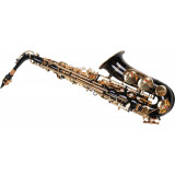 Saxofon Alto Karl Glaser NEGRU + clape auriu