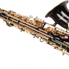 Saxofon Alto Karl Glaser NEGRU + clape auriu