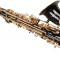 Saxofon Alto Karl Glaser NEGRU + clape auriu