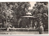 CPIB 17412 CARTE POSTALA - BUZIAS. PAVILIONUL APELOR MINERALE, RPR, Circulata, Fotografie