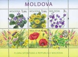 MOLDOVA 2009, Flora, serie neuzata, MNH