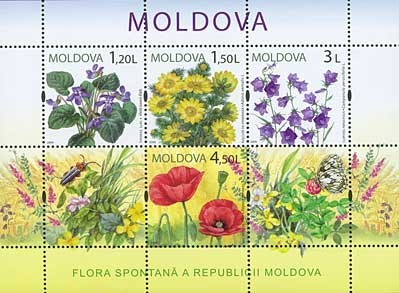 MOLDOVA 2009, Flora, serie neuzata, MNH foto