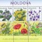 MOLDOVA 2009, Flora, serie neuzata, MNH