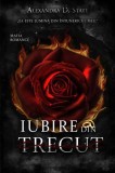 Iubire din trecut - LiterPress Publishing