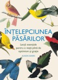 &Icirc;nțelepciunea păsărilor - Hardcover - Lambodar