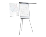 FLIPCHART MAGNETIC CU BRATE LATERALE SMART 70x100 cm