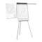 FLIPCHART MAGNETIC CU BRATE LATERALE SMART 70x100 cm
