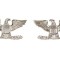 Insigna US Colonel Silver Rank Mil-Tec