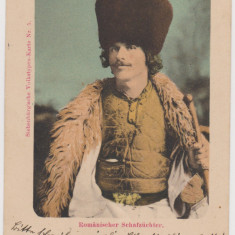 Romania Cioban Clasica litografie circulata 1902 Nagy Szeben Brasso