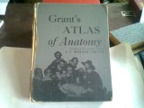 AN ATLAS OF ANATOMY J.C. Boileau Grant - Engleza, Cartonata, Format Mare, 1972